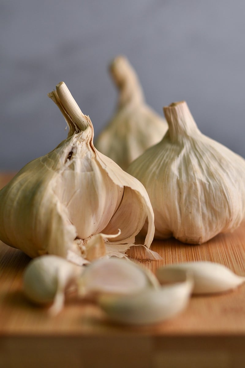 Food Ingredients