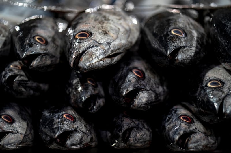 Wild-Caught Seafood
